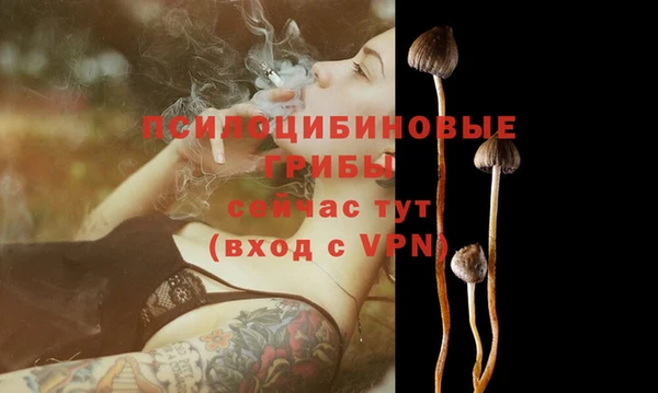 ешки Володарск