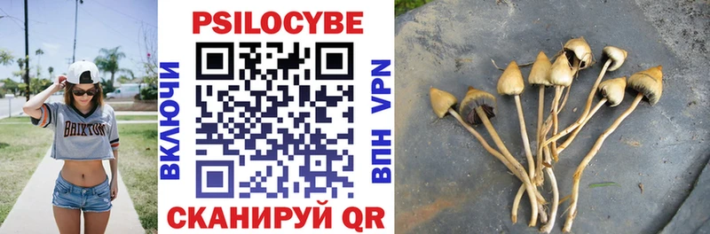 Псилоцибиновые грибы мухоморы  Купить закладки  Полысаево 